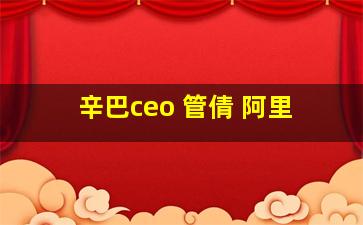 辛巴ceo 管倩 阿里